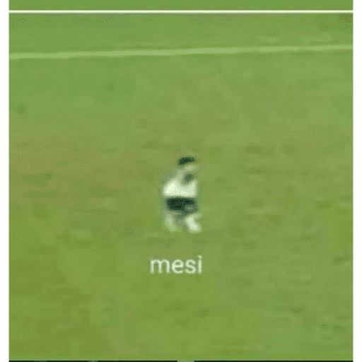 Macaco cidadão  17