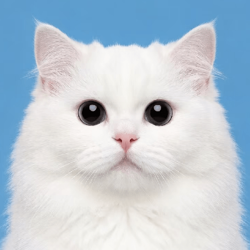 🧿Dilo con Michis3🐱 24