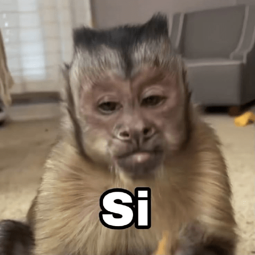 Monos 😹 9