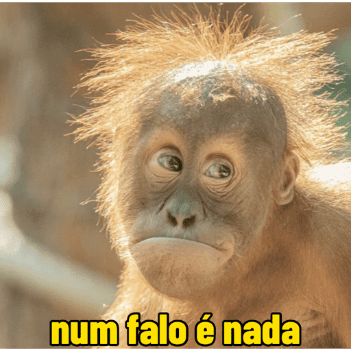 Macacos  1
