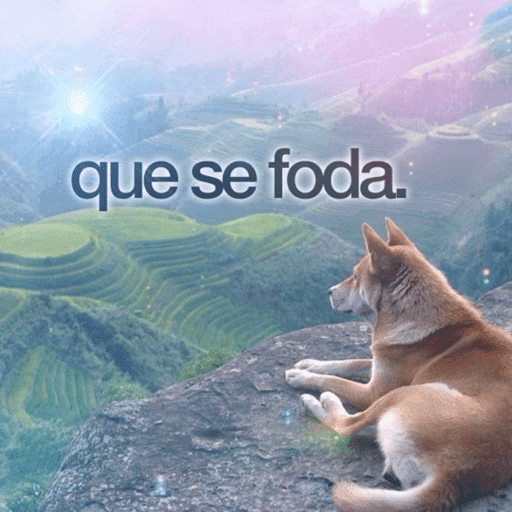 Shitpost de qualidade 11