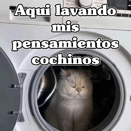 🧿Memes Variados16 😎 13
