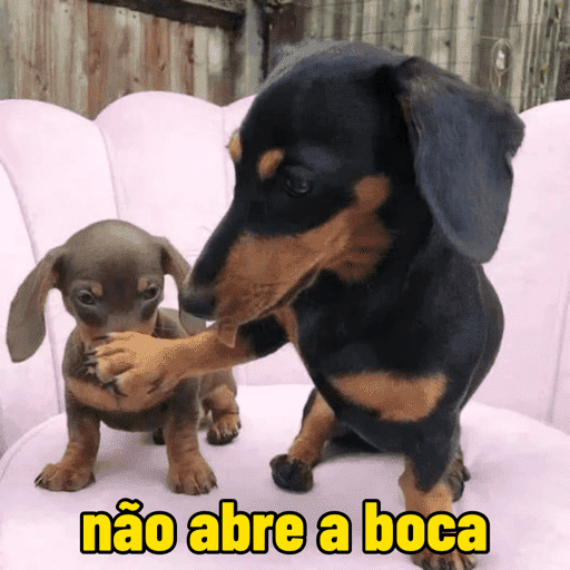 Oi, posso falar 8