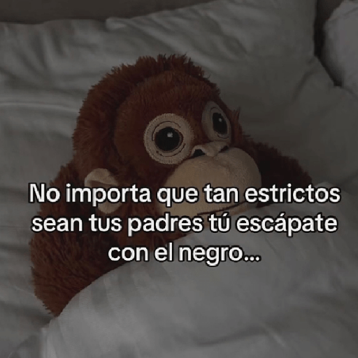 🧿Punch Frases♥️🦧🐒 25
