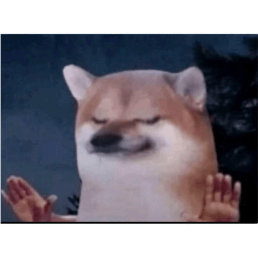 Pikachu 7