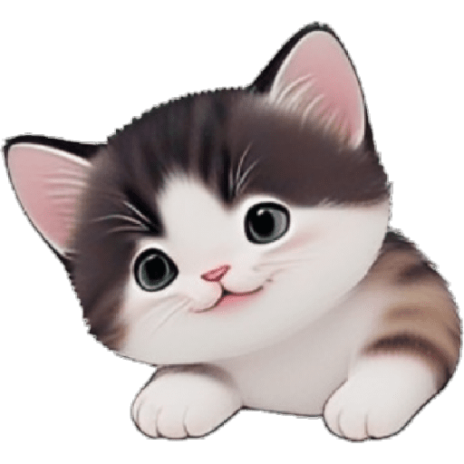 Gatos Chiqui 🤓 8
