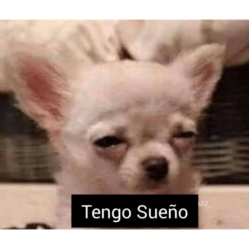Argie rosalía  9