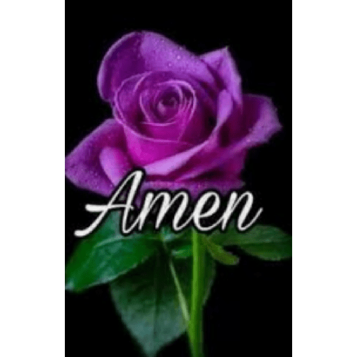 Amen 24