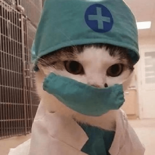 Animais 17