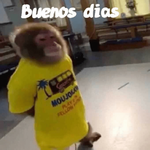 Changos 4 8