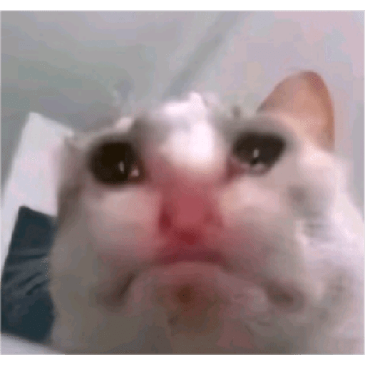 Random meme 2 15