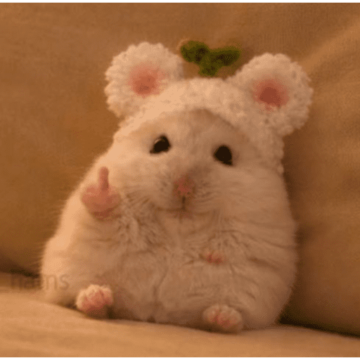 Gatos 11