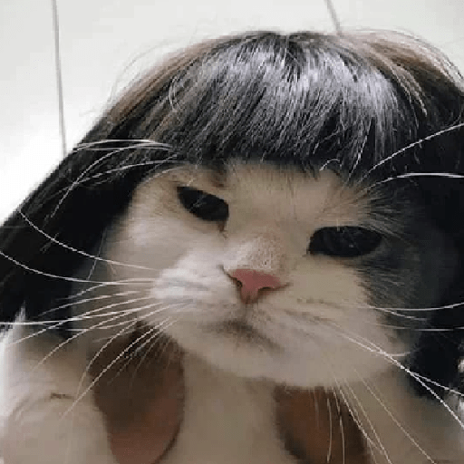 Animais 18