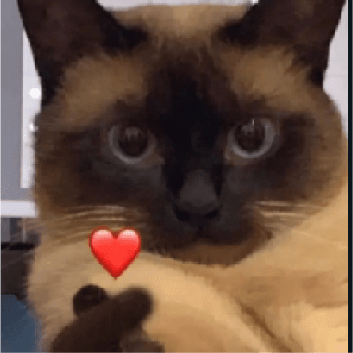Gatitos 2 1