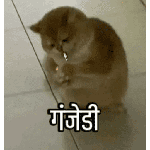 Funny marathi stickers 7