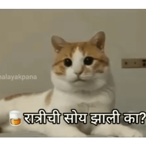 Funny marathi stickers 6