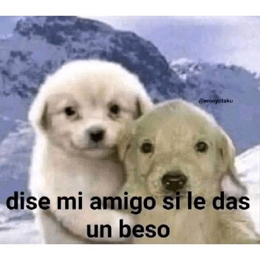 Anuel AA 9