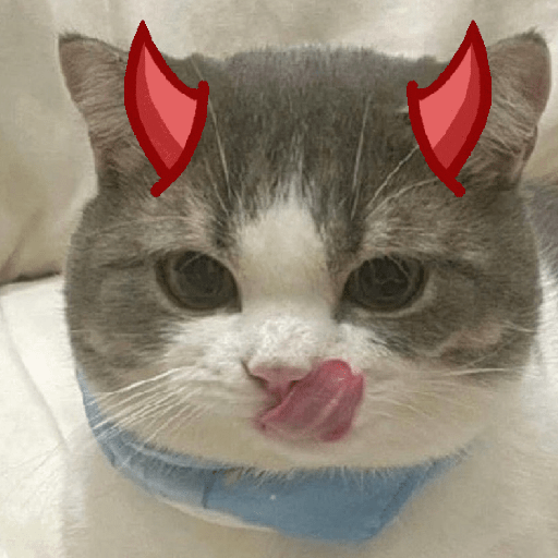 Gatos 1