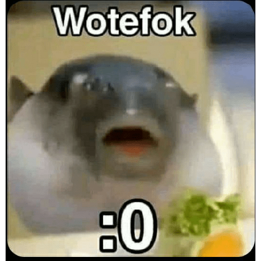 Nya 15