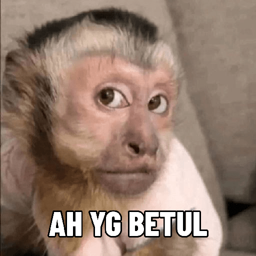 Monyet 5