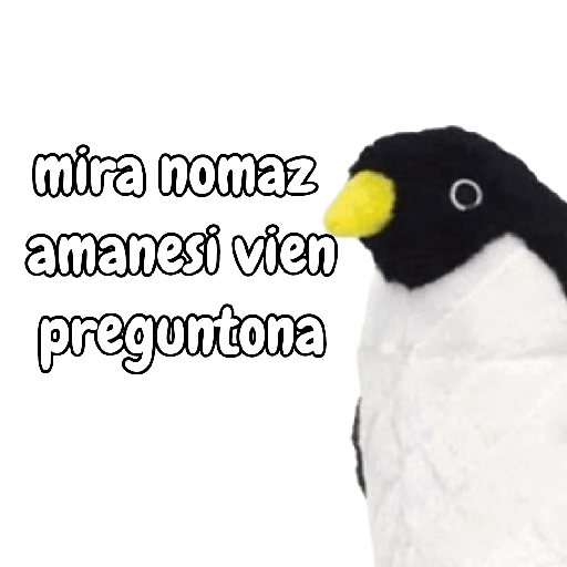 Memes xd 25