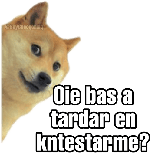 Oie bas a tardar en kntestarme?