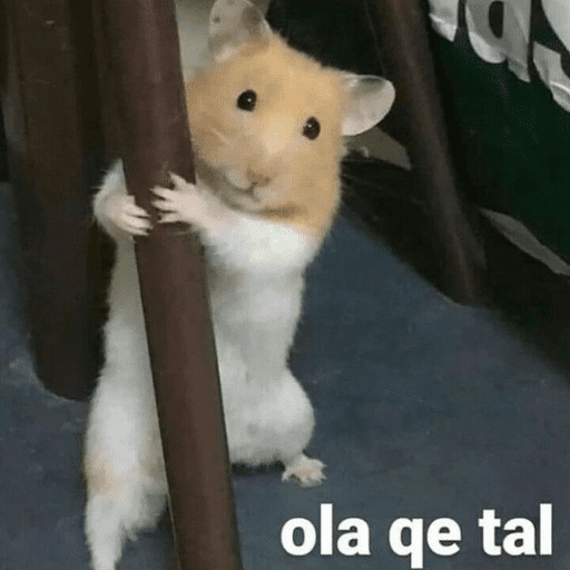 Animalitos 7