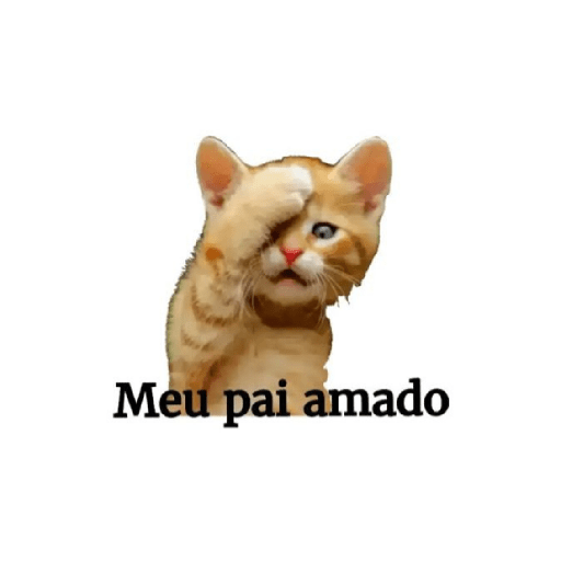 Expressões  5