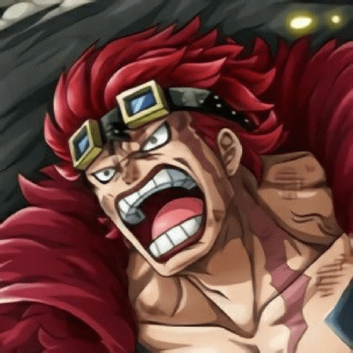 Eustass kid 28