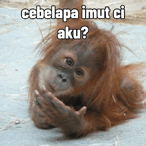 Monyet 3