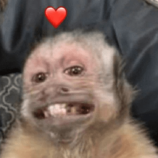 Monyet 2