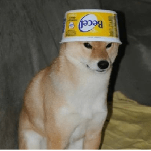 Animais 28