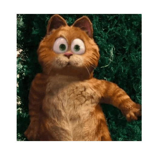 Garfield 2 🐱 22