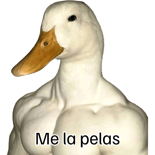 Momos Nova  28