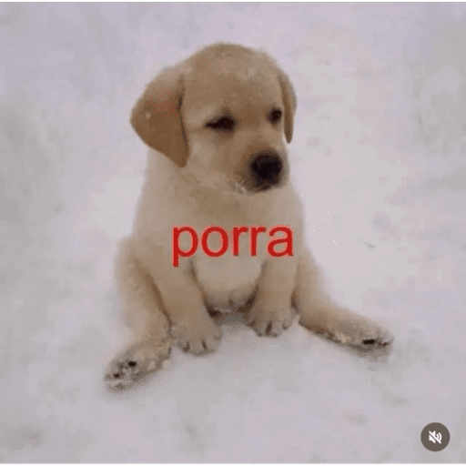 Animais 2