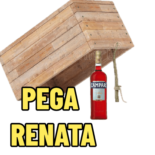 Manguinho 13