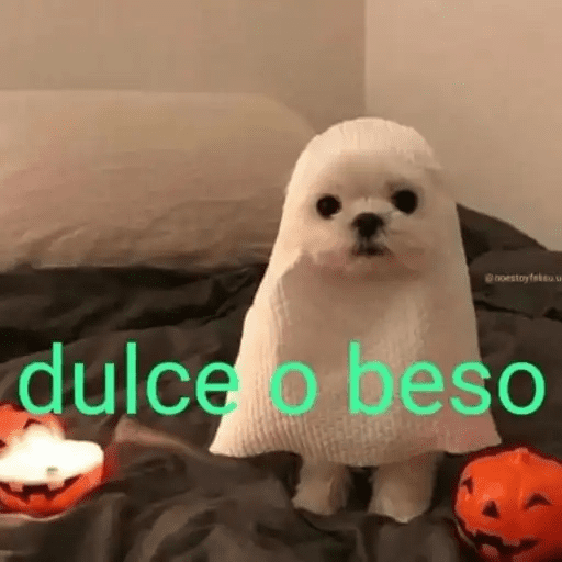Algo Random 5👽👾  2