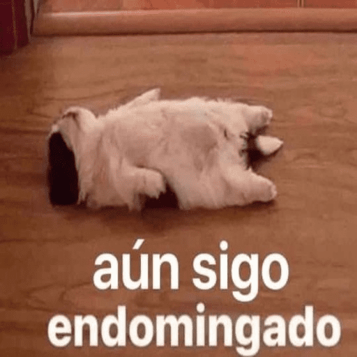 Animalitos 8