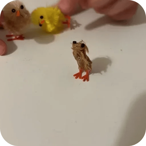 Pollito random acabado 💥🐣 10