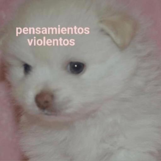 Argie rosalía  14
