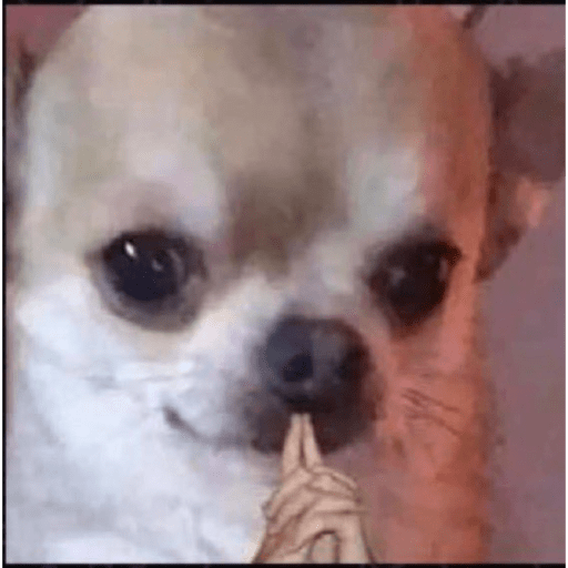 Memess lleve sus memeeeessss 13