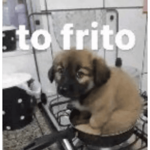 Animais 7