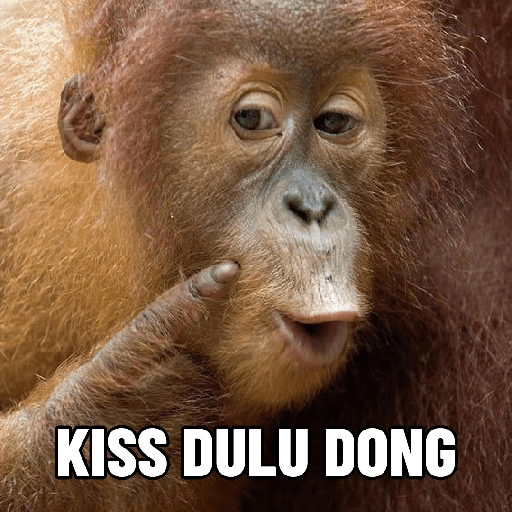 Monyet 6