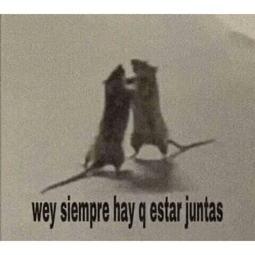 Memess lleve sus memeeeessss 9