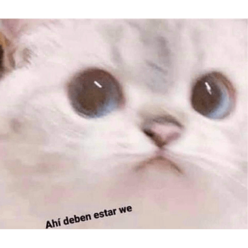 Memess lleve sus memeeeessss 10