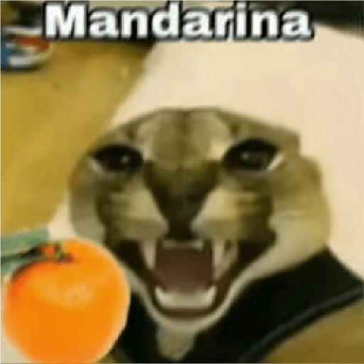 Gatitos 2 4