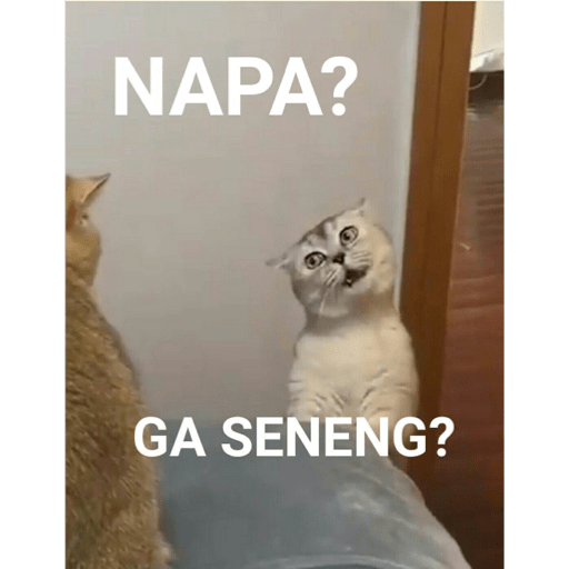 Meme dari Twitter (6) 30