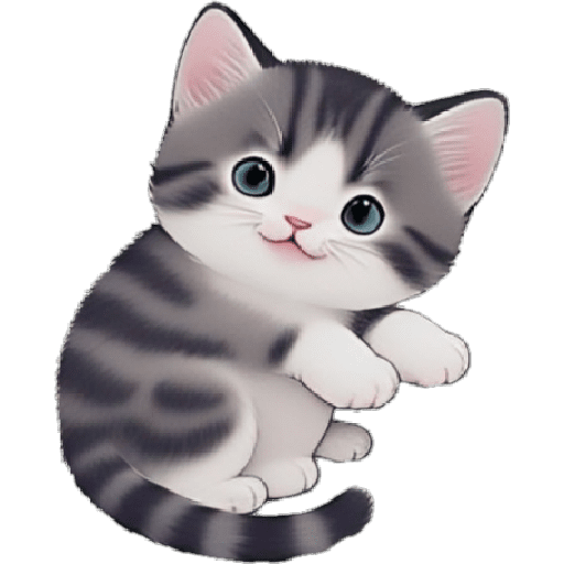 Gatos Chiqui 🤓 11