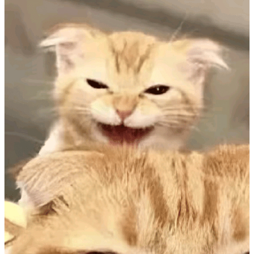 Memes xd 26