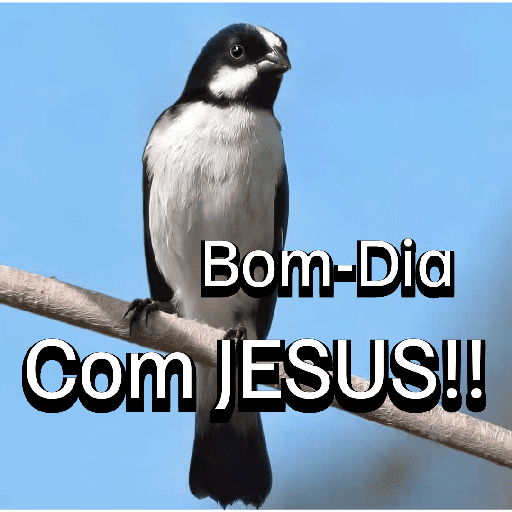 As melhores figurinhas 16